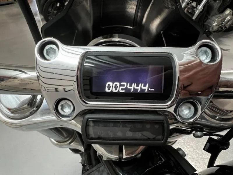 SOFTAIL STANDARD 1745