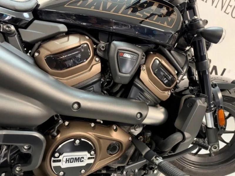 SPORTSTER 1250 S