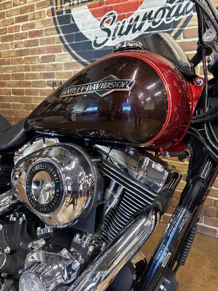 DYNA SUPER GLIDE 1584 CUSTOM