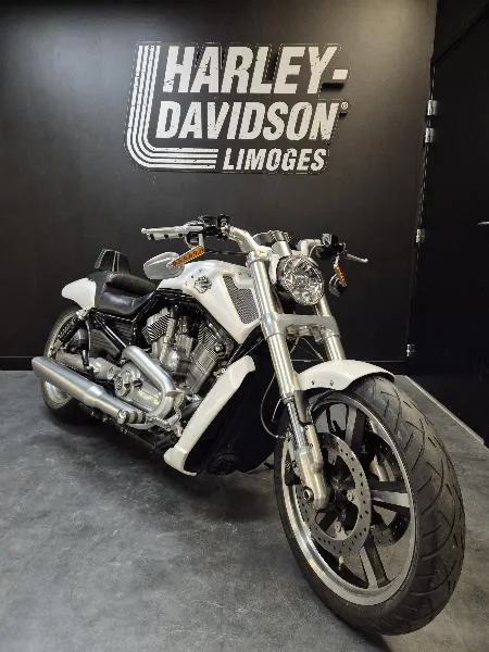 VROD MUSCLE 1250
