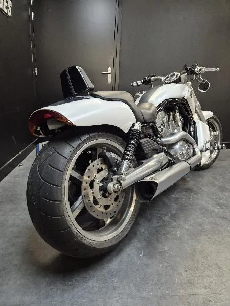 VROD MUSCLE 1250