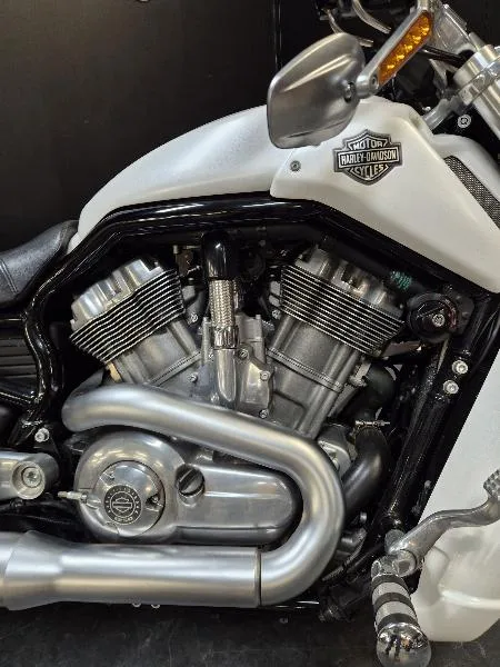 VROD MUSCLE 1250