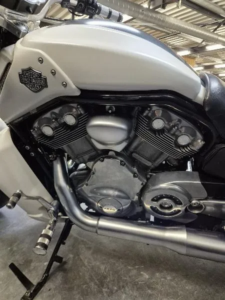 VROD MUSCLE 1250