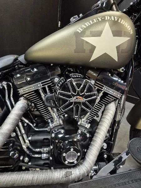 SOFTAIL SLIM 1800 S