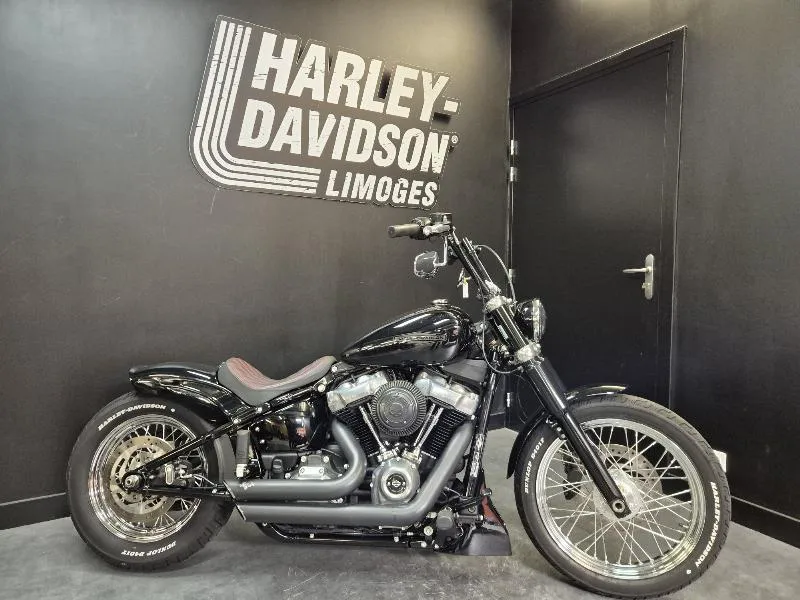 SOFTAIL STANDARD 1745 2021