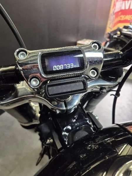 SOFTAIL STANDARD 1745