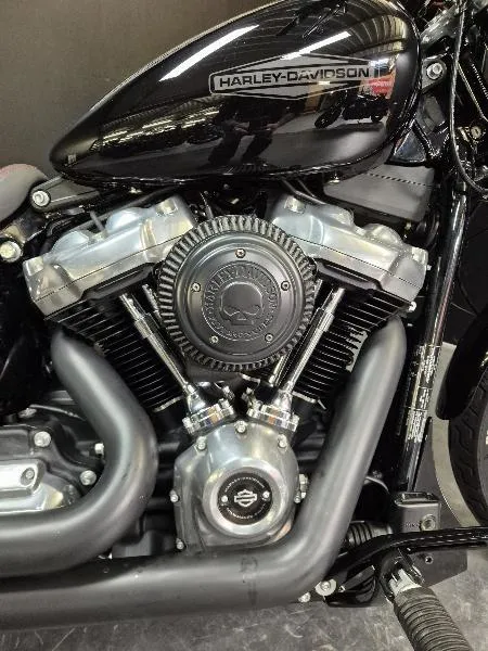 SOFTAIL STANDARD 1745
