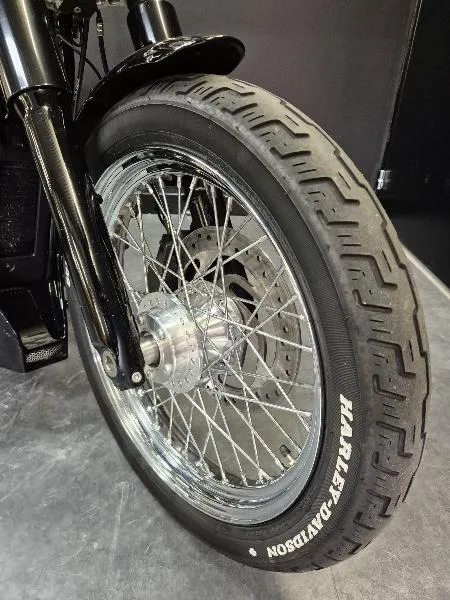 SOFTAIL STANDARD 1745
