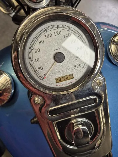 DYNA FAT BOB 1584
