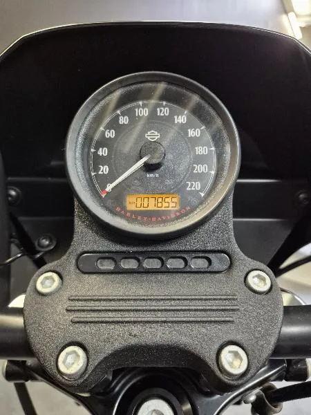 SPORTSTER IRON 1200