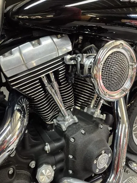 DYNA STREET BOB 1584