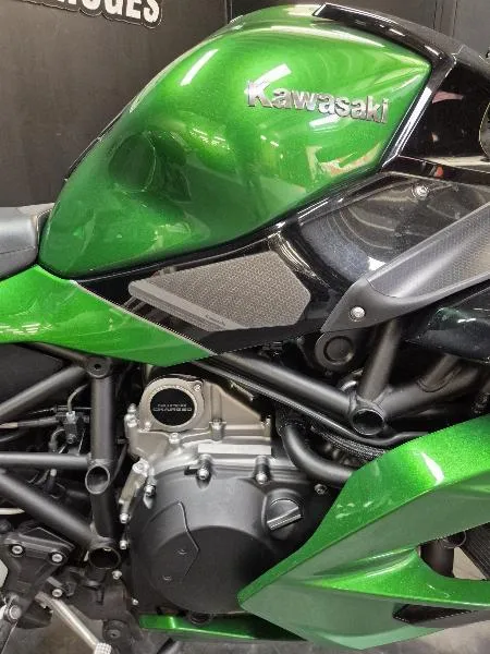 Ninja H2 SX