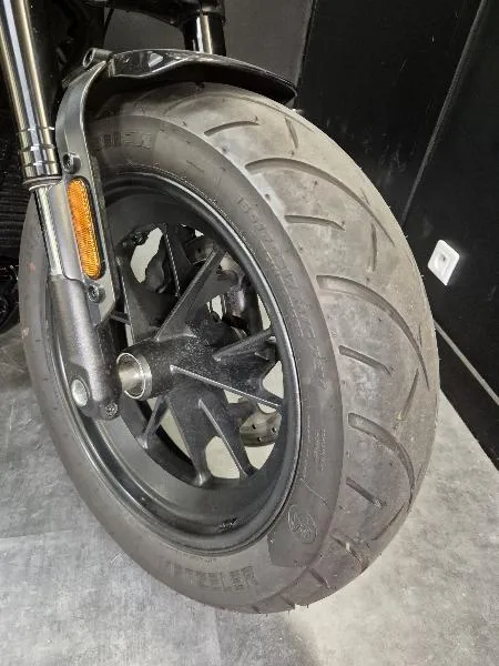 SPORTSTER 1250 S