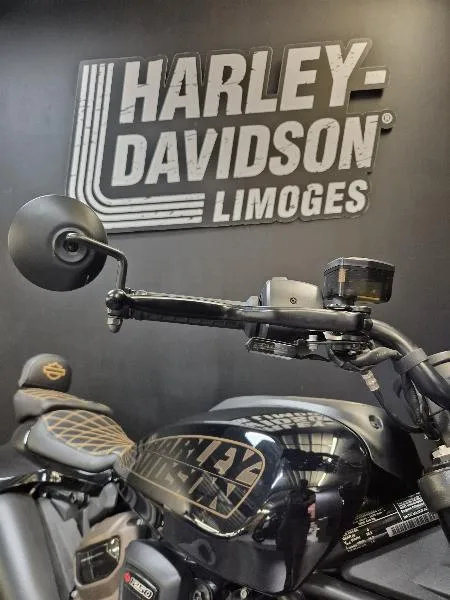 SPORTSTER 1250 S
