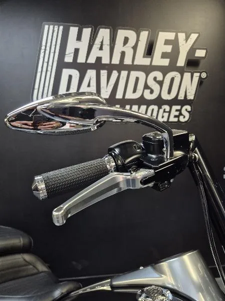 SOFTAIL FAT BOY 1745