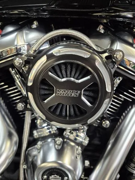 SOFTAIL FAT BOY 1745