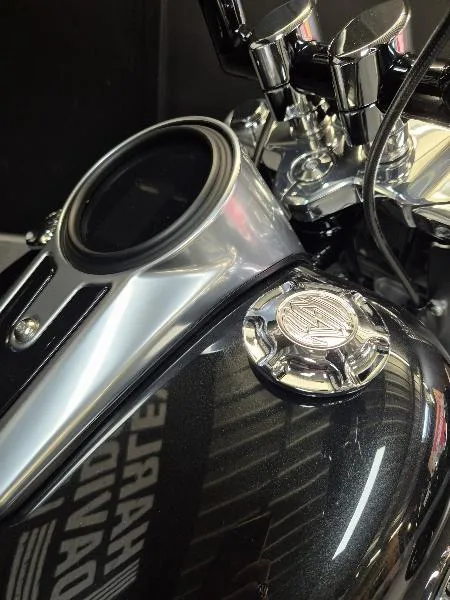 SOFTAIL FAT BOY 1745