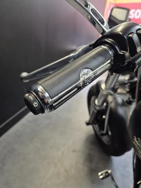 DYNA FAT BOB 1584