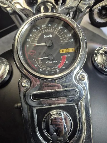 DYNA FAT BOB 1584