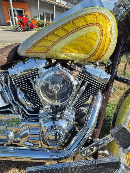 SOFTAIL DELUXE 1690