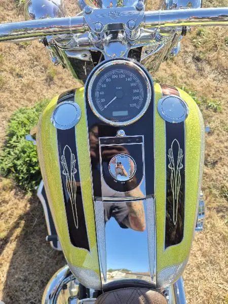 SOFTAIL DELUXE 1690