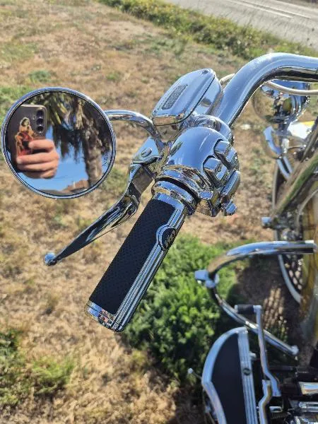 SOFTAIL DELUXE 1690