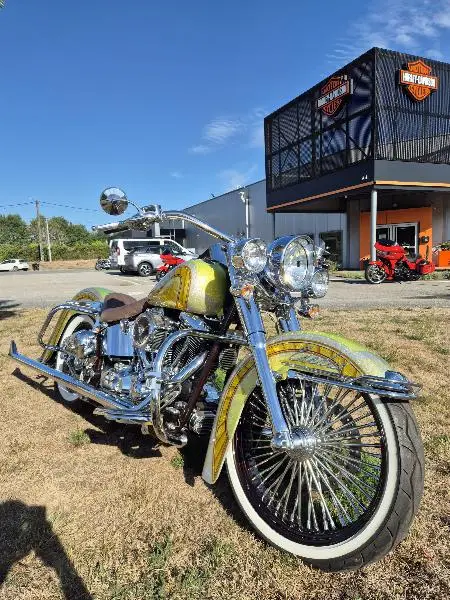 SOFTAIL DELUXE 1690