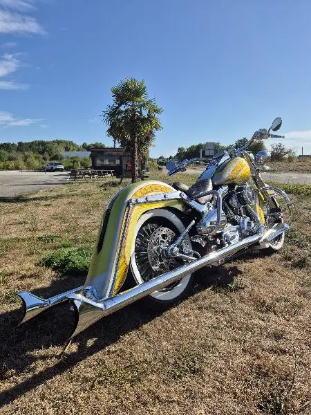 SOFTAIL DELUXE 1690
