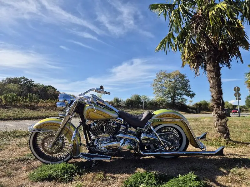 SOFTAIL DELUXE 1690