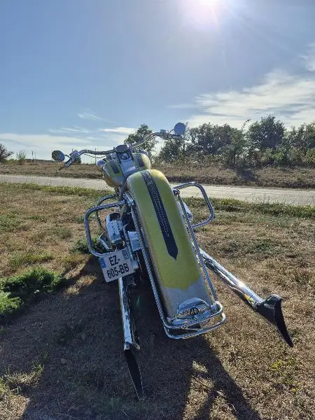 SOFTAIL DELUXE 1690