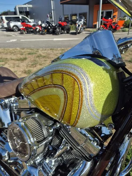 SOFTAIL DELUXE 1690