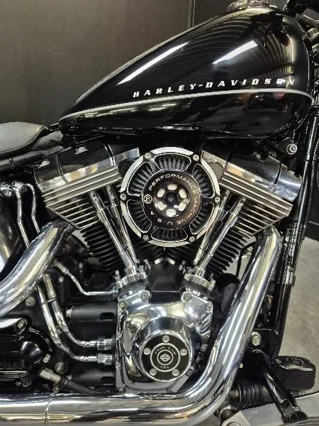 SOFTAIL BLACKLINE 1584