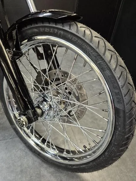 SOFTAIL BLACKLINE 1584