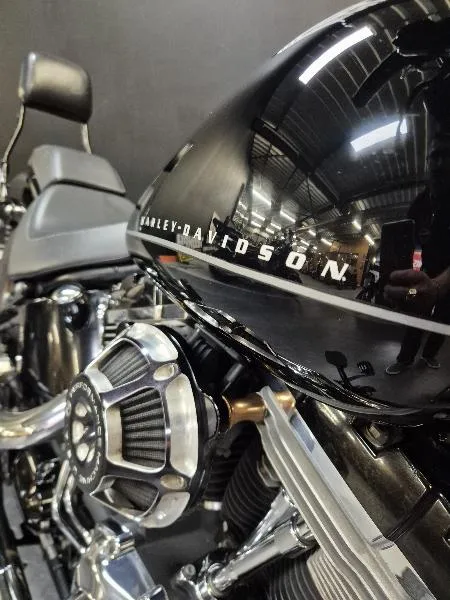 SOFTAIL BLACKLINE 1584