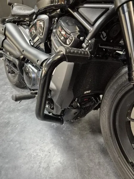 SPORTSTER 1250 S