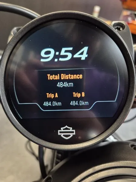 SPORTSTER 1250 S