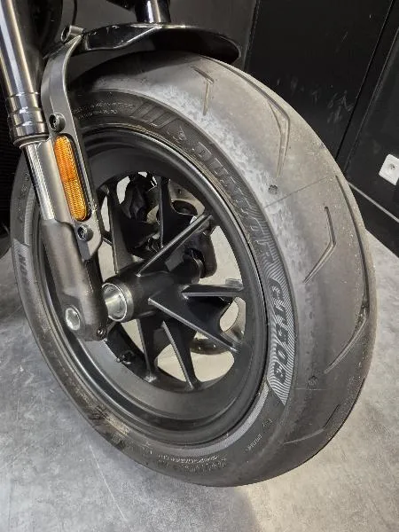 SPORTSTER 1250 S