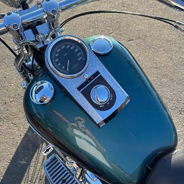 SOFTAIL SPRINGER 1450