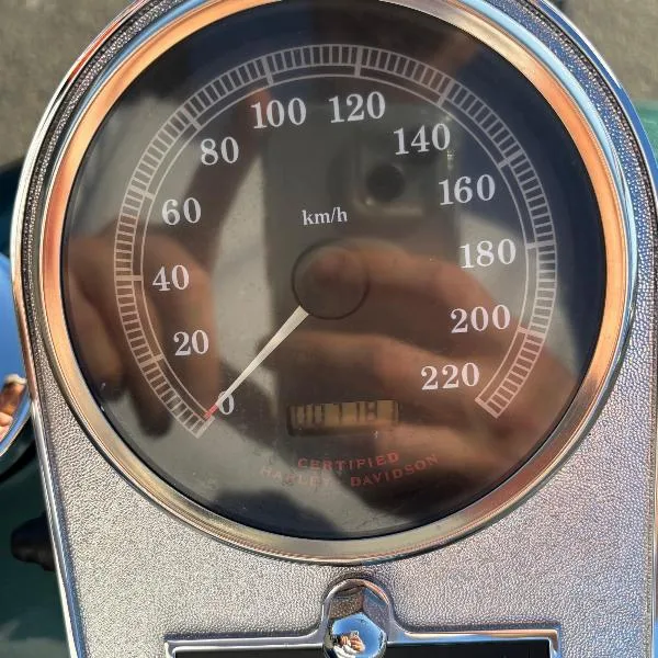 SOFTAIL SPRINGER 1450