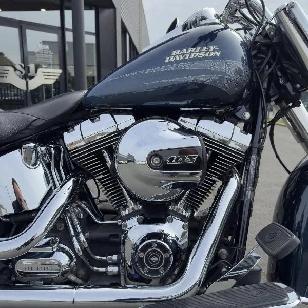 SOFTAIL DELUXE 1690