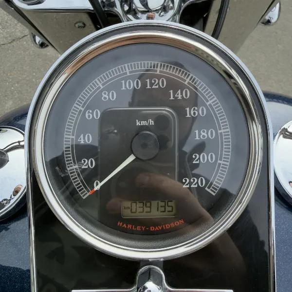 SOFTAIL DELUXE 1690