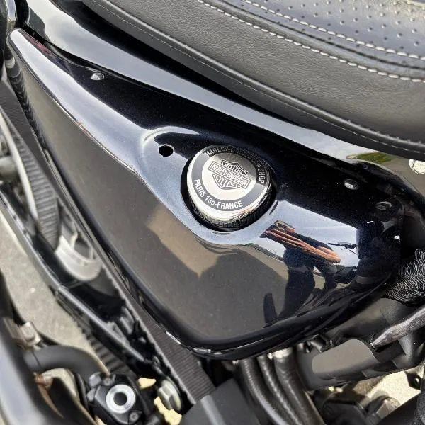 SPORTSTER 883 R