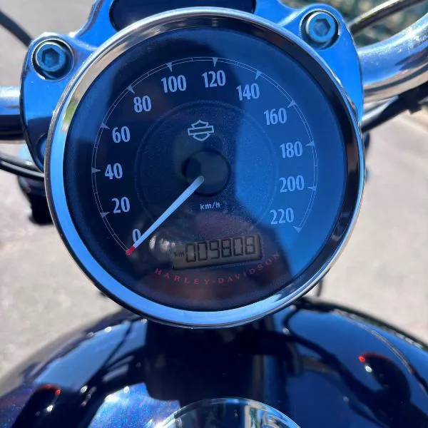 SPORTSTER CUSTOM 1200