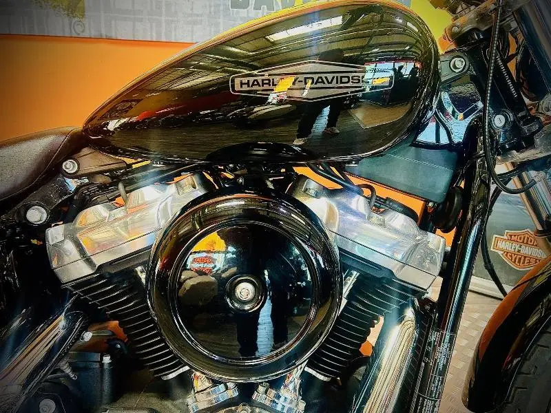 SOFTAIL STANDARD 1745