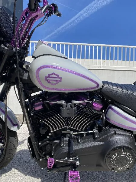 SOFTAIL FAT BOB 1745