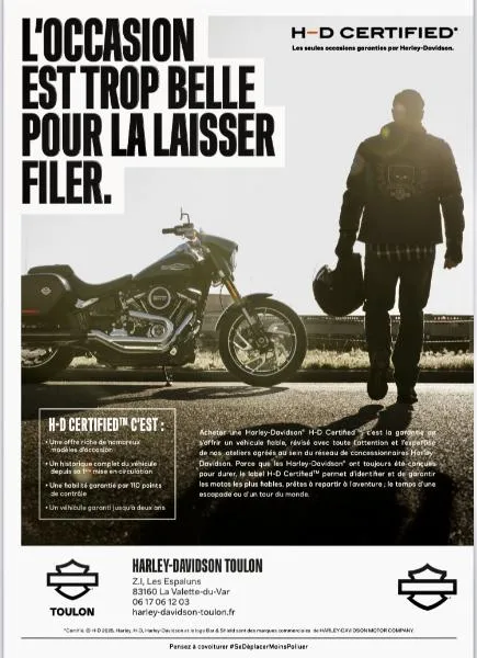 SOFTAIL DELUXE 1690