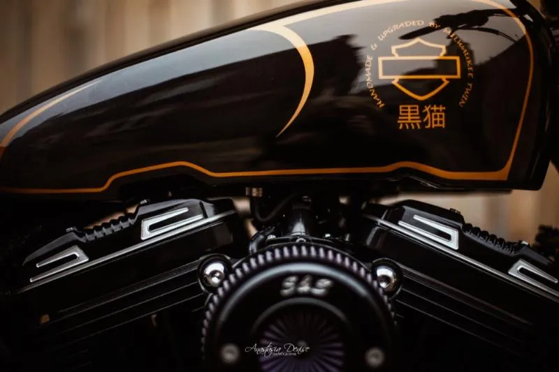 SPORTSTER 1200 FORTY EIGHT SPECIAL