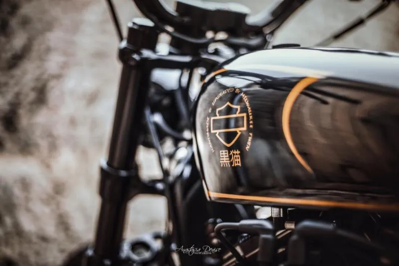SPORTSTER 1200 FORTY EIGHT SPECIAL