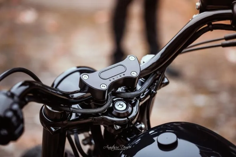 SPORTSTER 1200 FORTY EIGHT SPECIAL