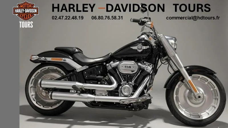 SOFTAIL FAT BOY 1868